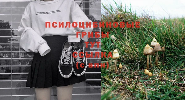 прущие грибы Сатка