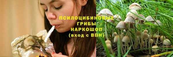 соль ск Абаза